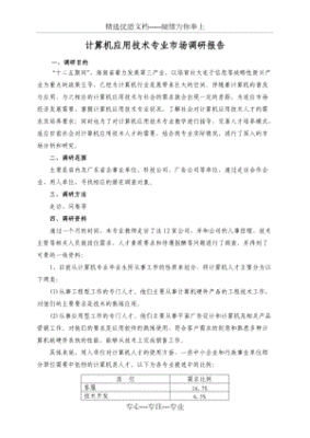 电脑的调研报告