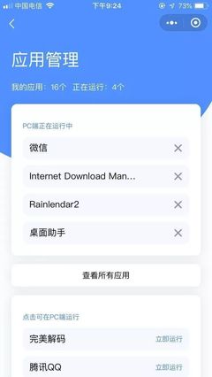 电脑远程程序