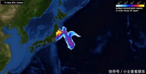 电脑索引暂停咋办