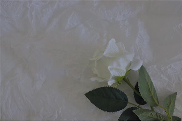 好看的纯色电脑桌面壁纸