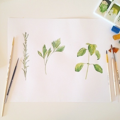 电脑植物绘画师