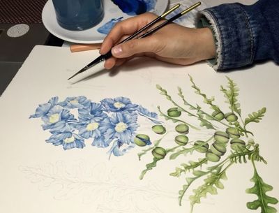 电脑植物绘画师