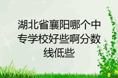 枣阳电脑培训免费