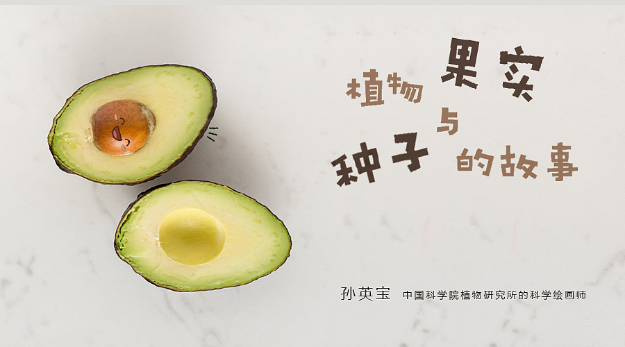 电脑植物绘画师