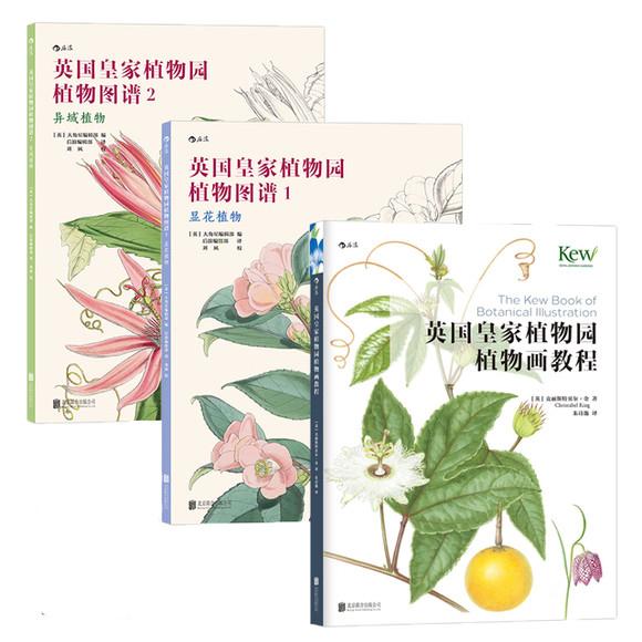 电脑植物绘画师