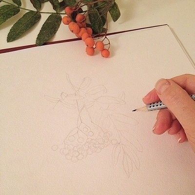 电脑植物绘画师