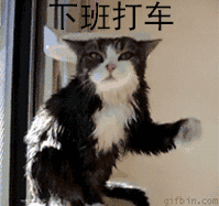 电脑左肩膀