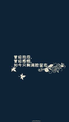 电脑只剩壁纸