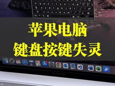 笔记本电脑打不出字