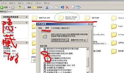 电脑文件看不到