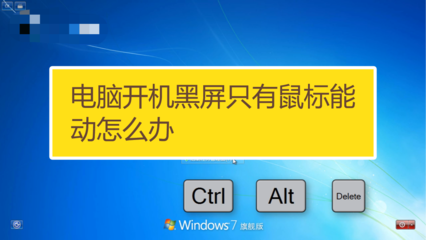 电脑到开机界面就卡屏