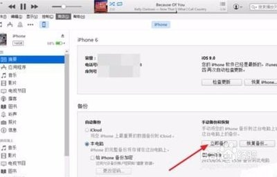 苹果电脑系统可以降级吗