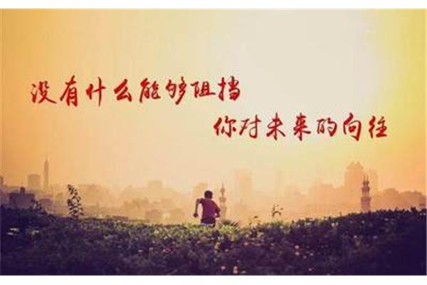 哪个电脑性价比高