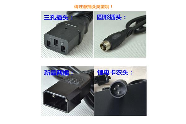 绿源微电脑多功能充电器