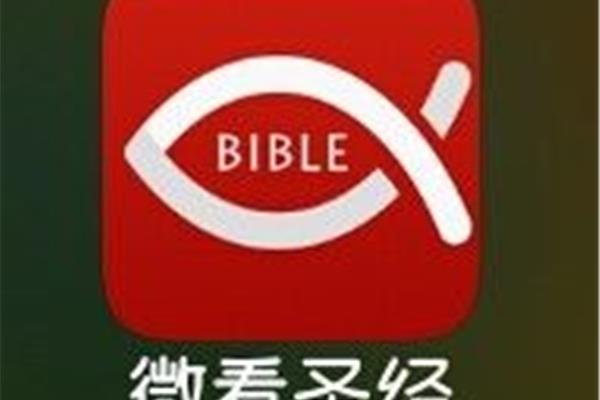 微看圣经电脑版
