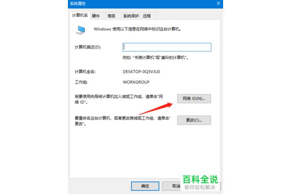 电脑域id