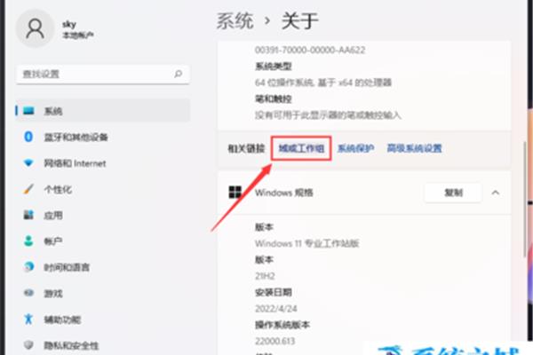电脑域id